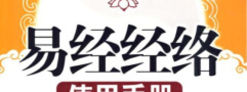 易经经络使用手册